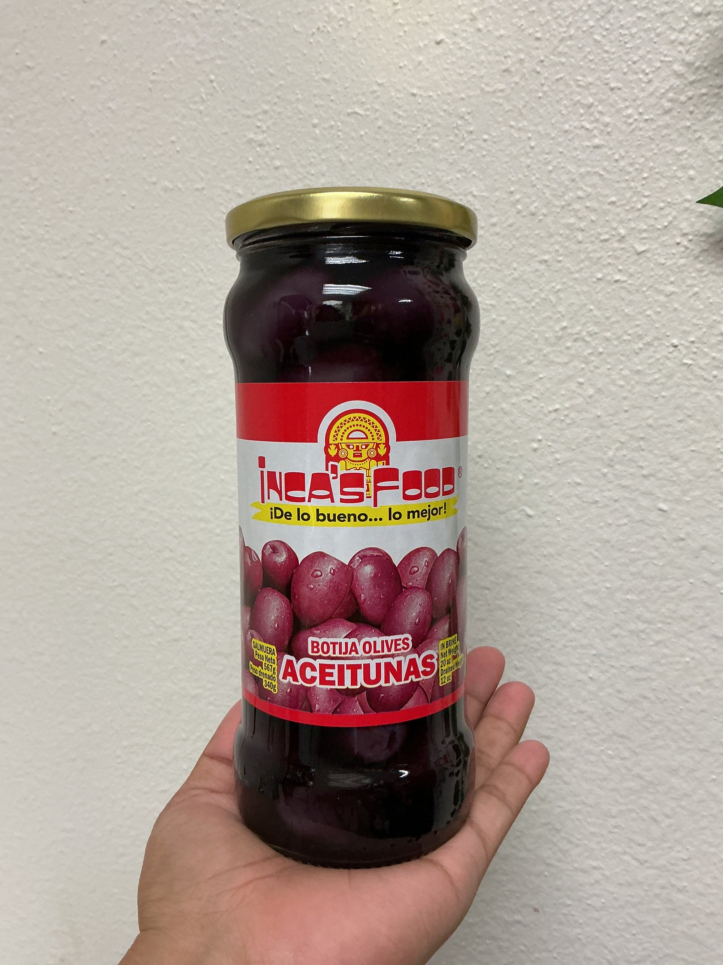 Botija Olives - Aceitunas